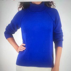 Karen Scott Blue Turtleneck Sweater for Women – Small